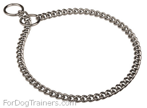 Luxury Looking Choke Dog Collar