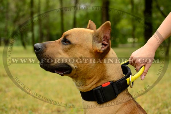 Nylon Dog Collar with handle