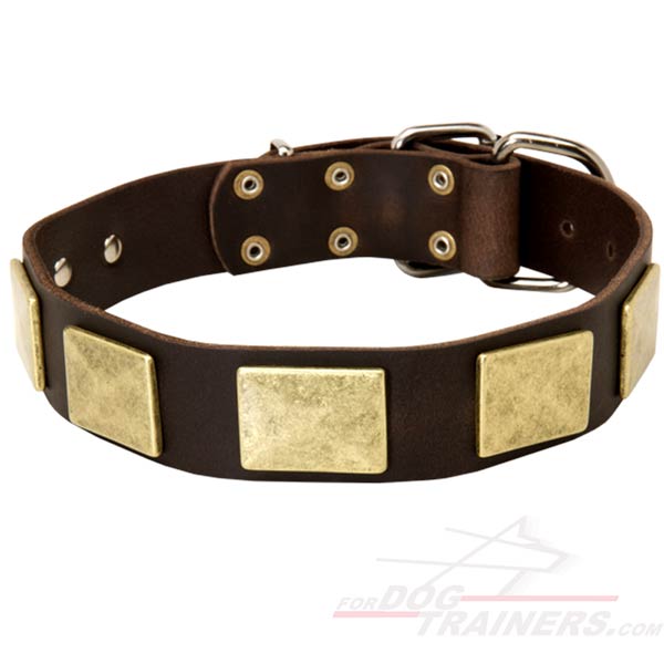 New design leather  dog collar