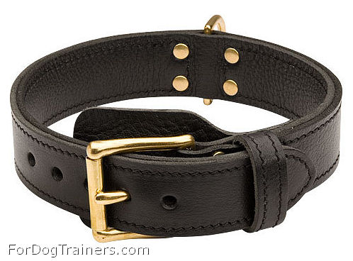Leather training dog  collar extra strong