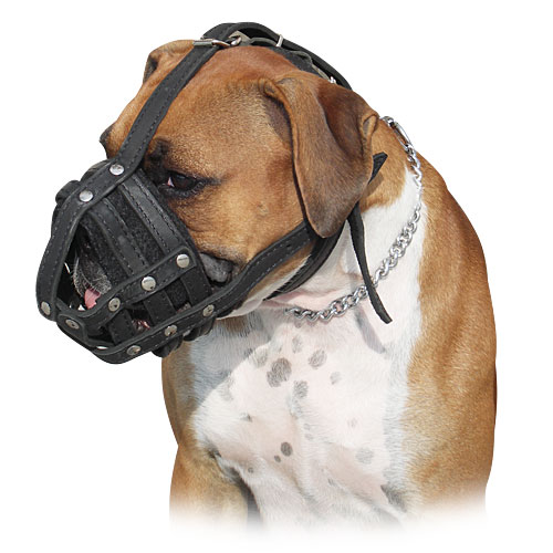 Boxer dog muzzle - leather boxer dog muzzle - M41