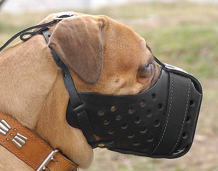 Leather dog muzzle "Dondi" style For Bullmastiff - M55