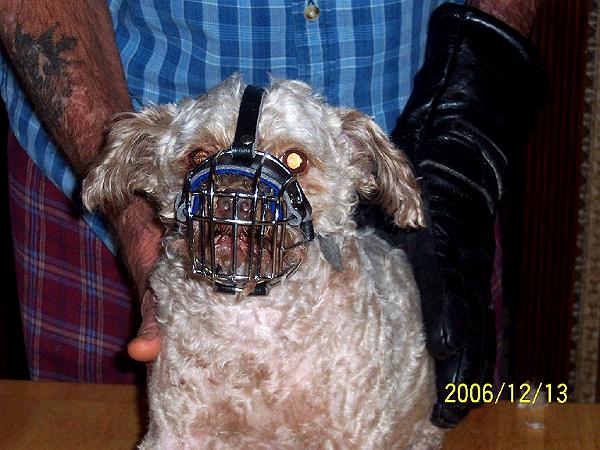 *Pekepoo Wire Basket Dog Muzzles Size Chart - Pekepoo muzzle_1