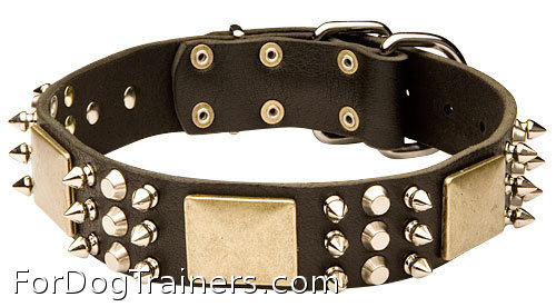 leather dog collar with  spikes plates and studds - c86