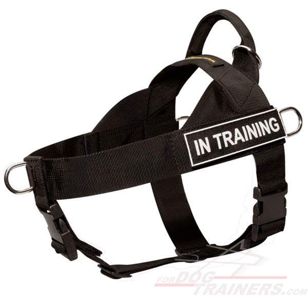 Extremely Lightweight Nylon Dog Harness for SAR Activities