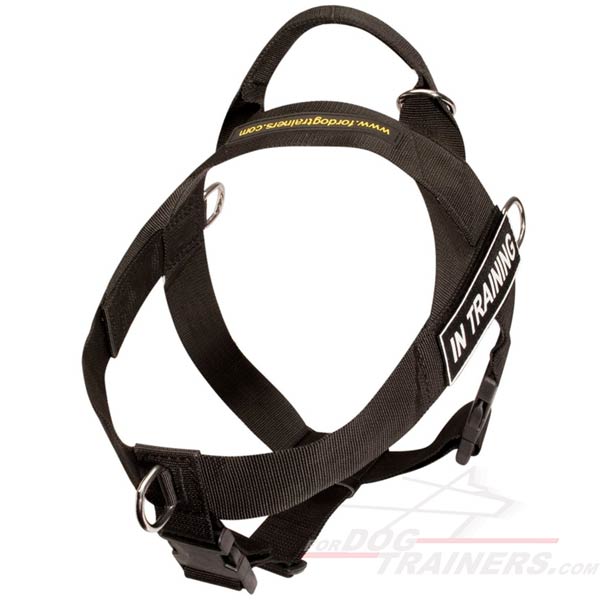Super Lightweight Dog Harness with Front Leash Attachment Ring