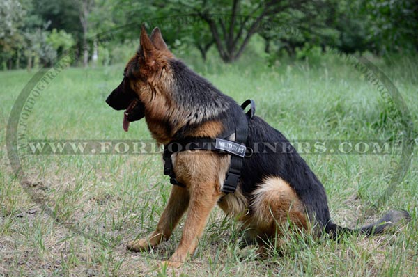 Best Search and Rescue Nylon Harness for Large and Medium Size Dogs