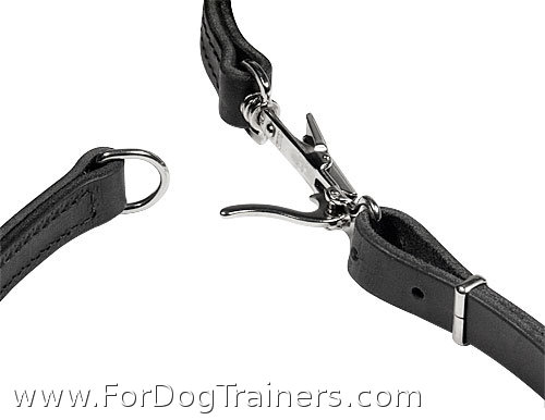 combo leash collar quick release snap close up
