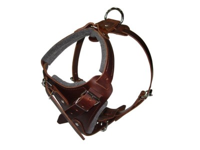 Dog Harness