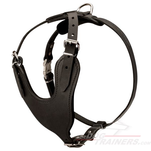 Dog Leather Harness with Padded Chest