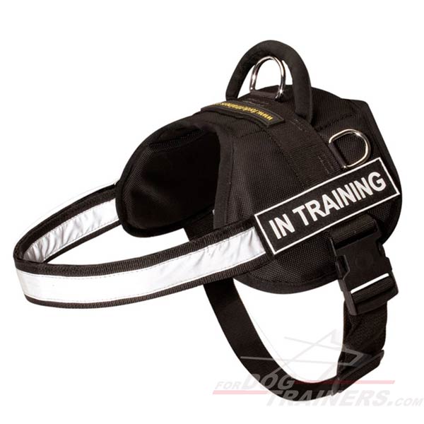 nylon dog harness with handle and with adjustable straps
