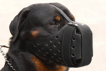 Leather dog muzzle "Dondi" style For Rottweiler - M55