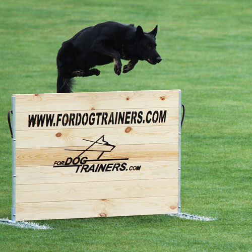 training schutzhund jump