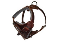 Leather Canine Harness for Attack Training and Walking Large/Medium Breed Dogs