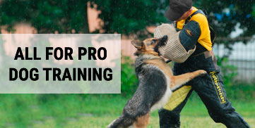 pro training