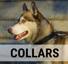 collars