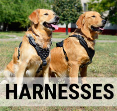 harnesses