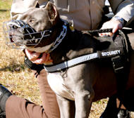 Reflective Nylon Dog Harness- Best Harness for Pitbull Training