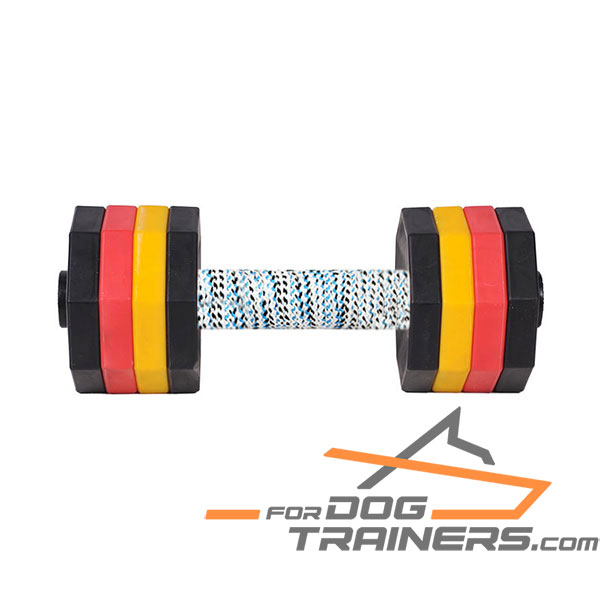 Training Dog Dumbbell with Plastic Weight Plates