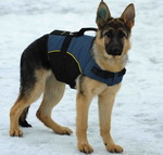 30% Discount - NEW 2018 All Season Extra Strong Nylon Vest Harness - H13-Outdoor(German Shepherd)