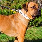 White 3 Rows Decorated Leather Cane Corso Collar with Nickel Studs and Brass Spikes