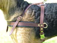 Leather Padded Chest Plate and Side D-ring of Leather Dog Harness