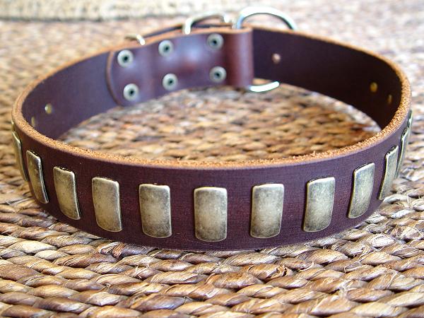 Dog collar