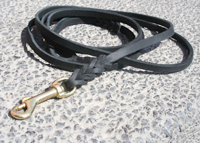 leather dog leash